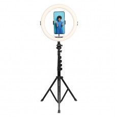 AgfaPhoto Realiview ARL11XL 120 Led Ring Light with Adjustable Tripod AgfaPhoto Realiview ARL11XL 120 Led Ring Light with Adjustable Tripod